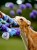 PhotoRoom_20231123_172039.jpeg