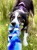 IMG_0351.jpeg