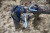 IMG_9168.jpeg