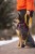 IMG_1550.jpeg