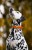 IMG_5756.jpeg