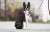 IMG_7476.jpeg