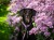 Photoroom_20250522_155653.jpeg