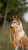 IMG_5897.jpeg