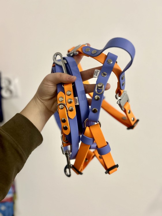 IMG_8006.jpeg
