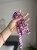 IMG_8804.jpeg