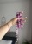 IMG_8803.jpeg