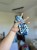 IMG_9390.jpeg