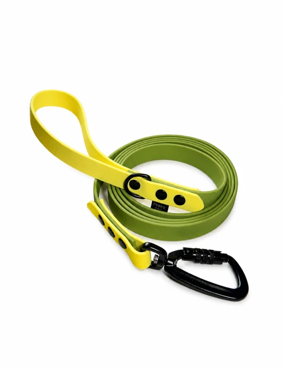 71263456-EFD0-49EC-8435-8AA7800C98EB.png