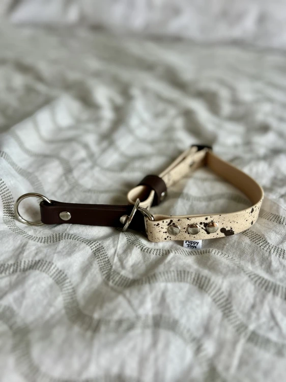 IMG_0294.jpeg