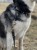 IMG_9851.jpeg
