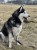 IMG_9852.jpeg