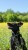 IMG_0005.jpeg