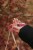 IMG_4006.jpeg