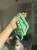 IMG_8520.jpeg