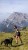 IMG_8757.jpeg
