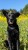 IMG_0007.jpeg