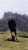 IMG_8274.jpeg