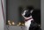 IMG_7859.jpeg