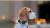 Photoroom_20250308_104447.jpeg