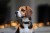 Photoroom_20250308_104214.jpeg